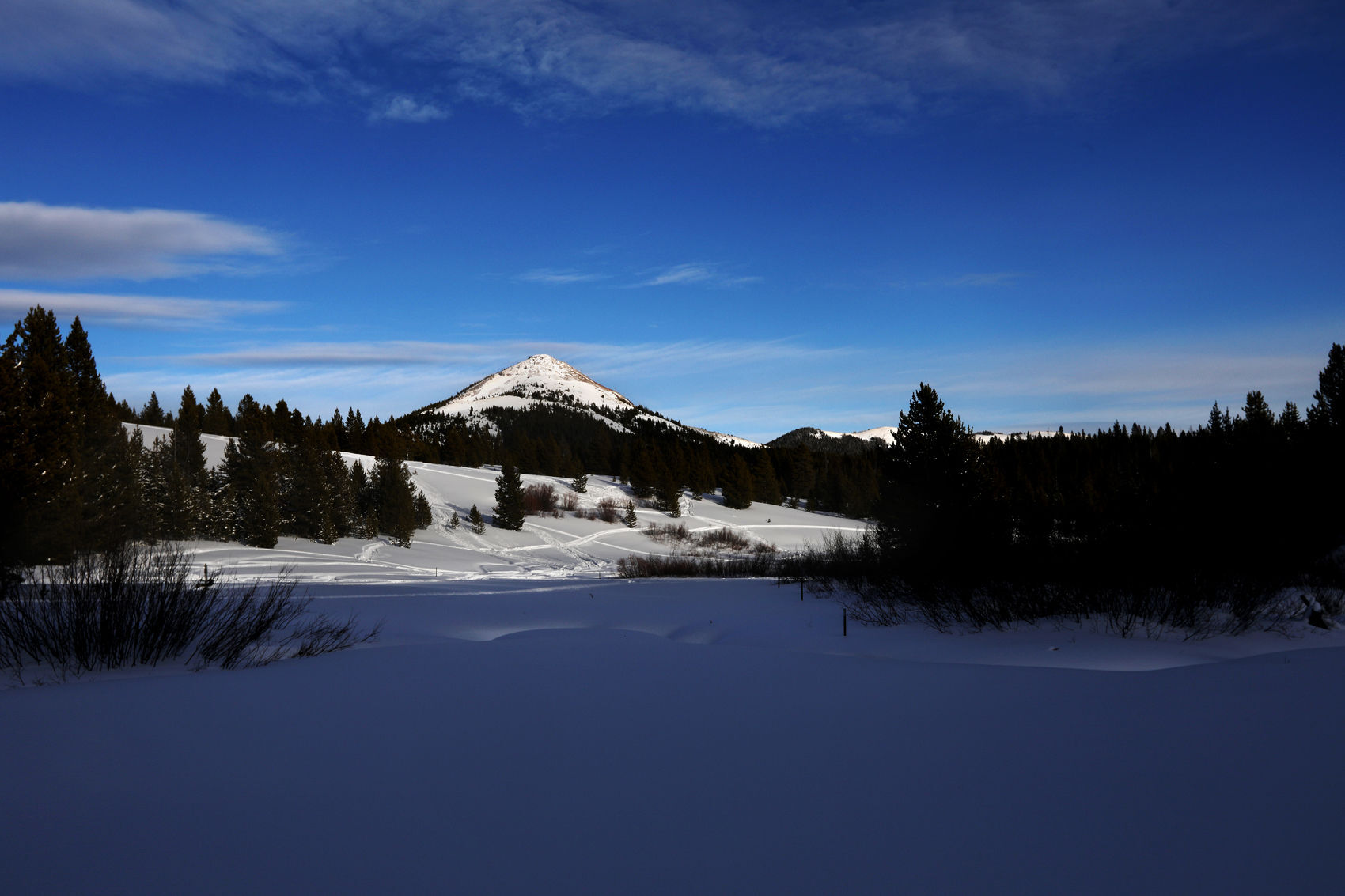 Winter